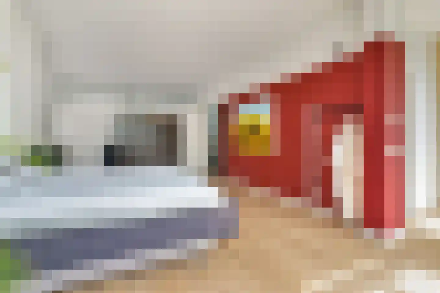 1e Sweelinckstraat 10 Den Haag thumbnail 41