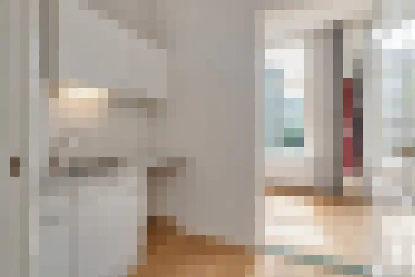 1e Sweelinckstraat 10 Den Haag thumbnail 43