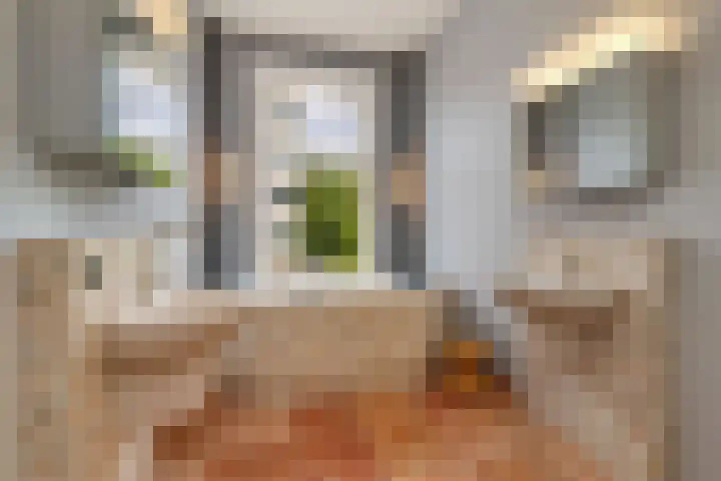 1e Sweelinckstraat 10 Den Haag thumbnail 44
