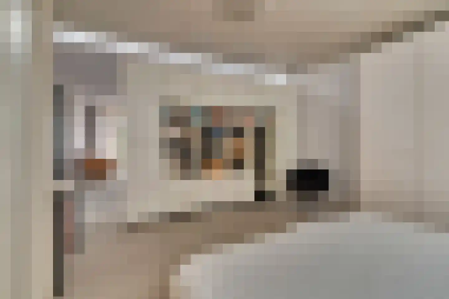 1e Sweelinckstraat 10 Den Haag thumbnail 49