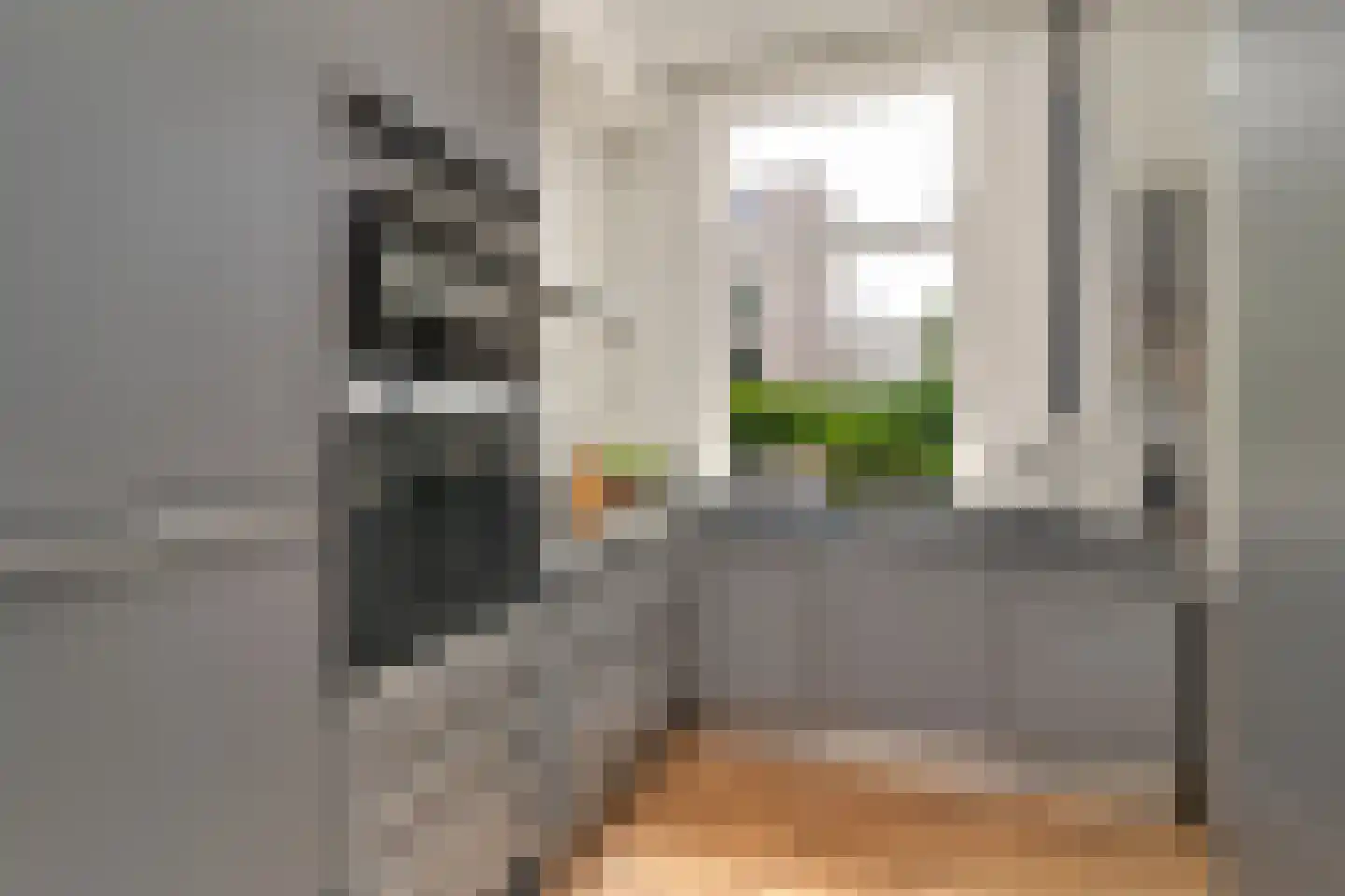 1e Sweelinckstraat 10 Den Haag thumbnail 5