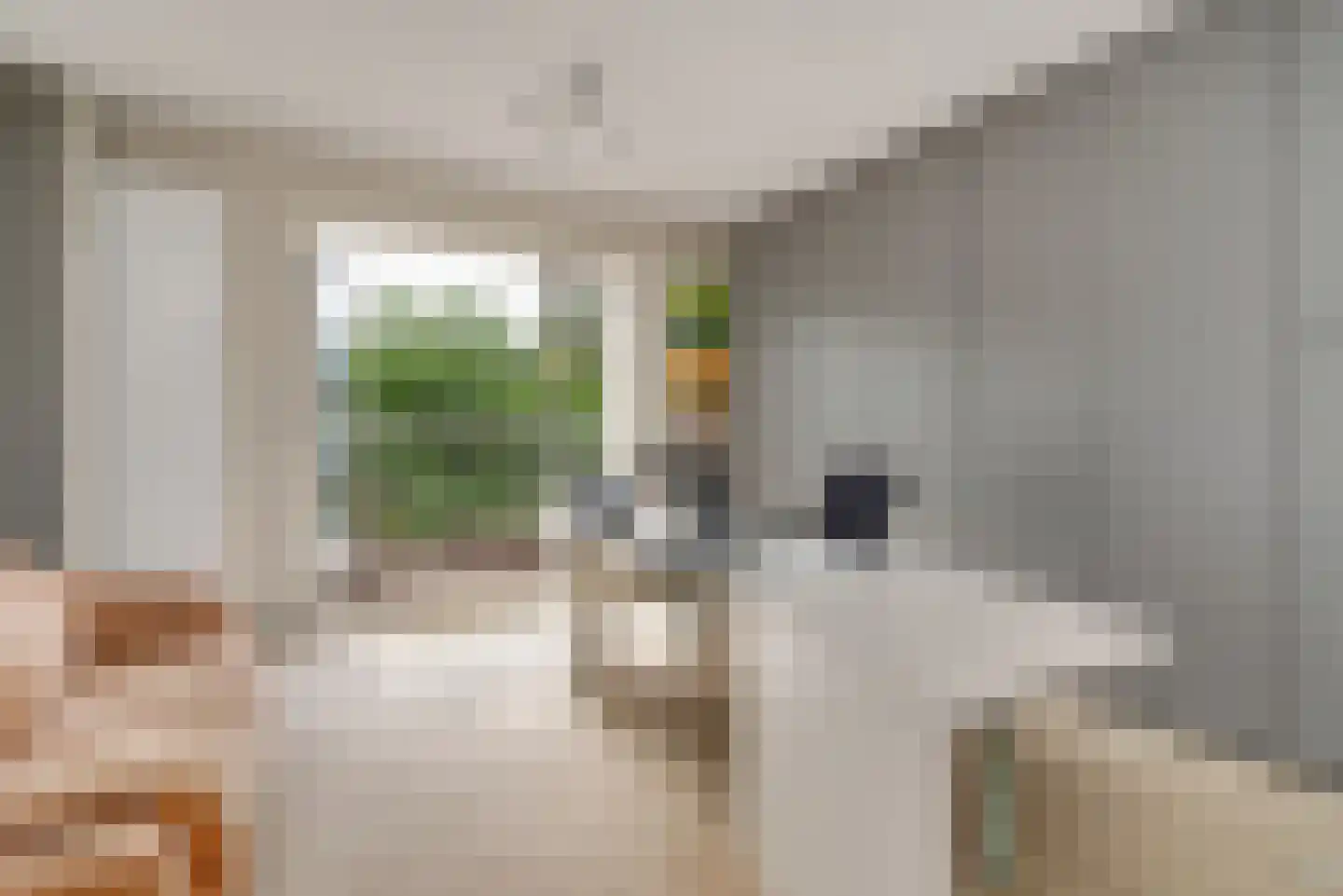 1e Sweelinckstraat 10 Den Haag thumbnail 51