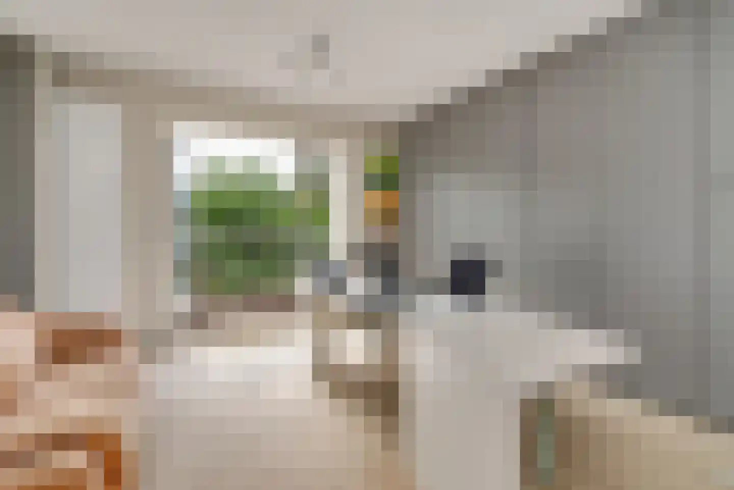 1e Sweelinckstraat 10 Den Haag thumbnail 52