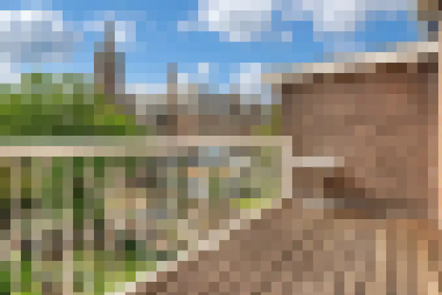 1e Sweelinckstraat 10 Den Haag thumbnail 54