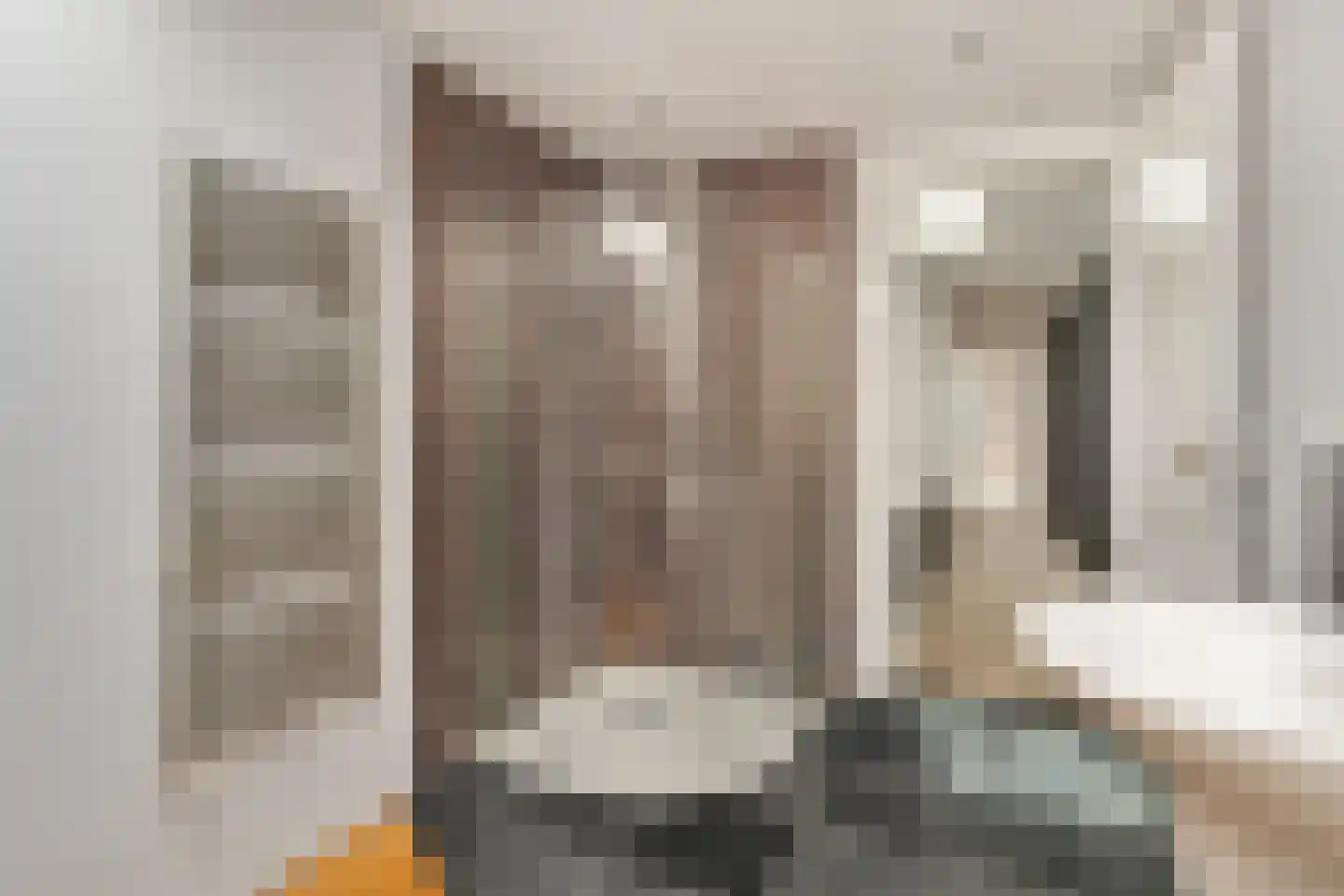 1e Sweelinckstraat 10 Den Haag thumbnail 60