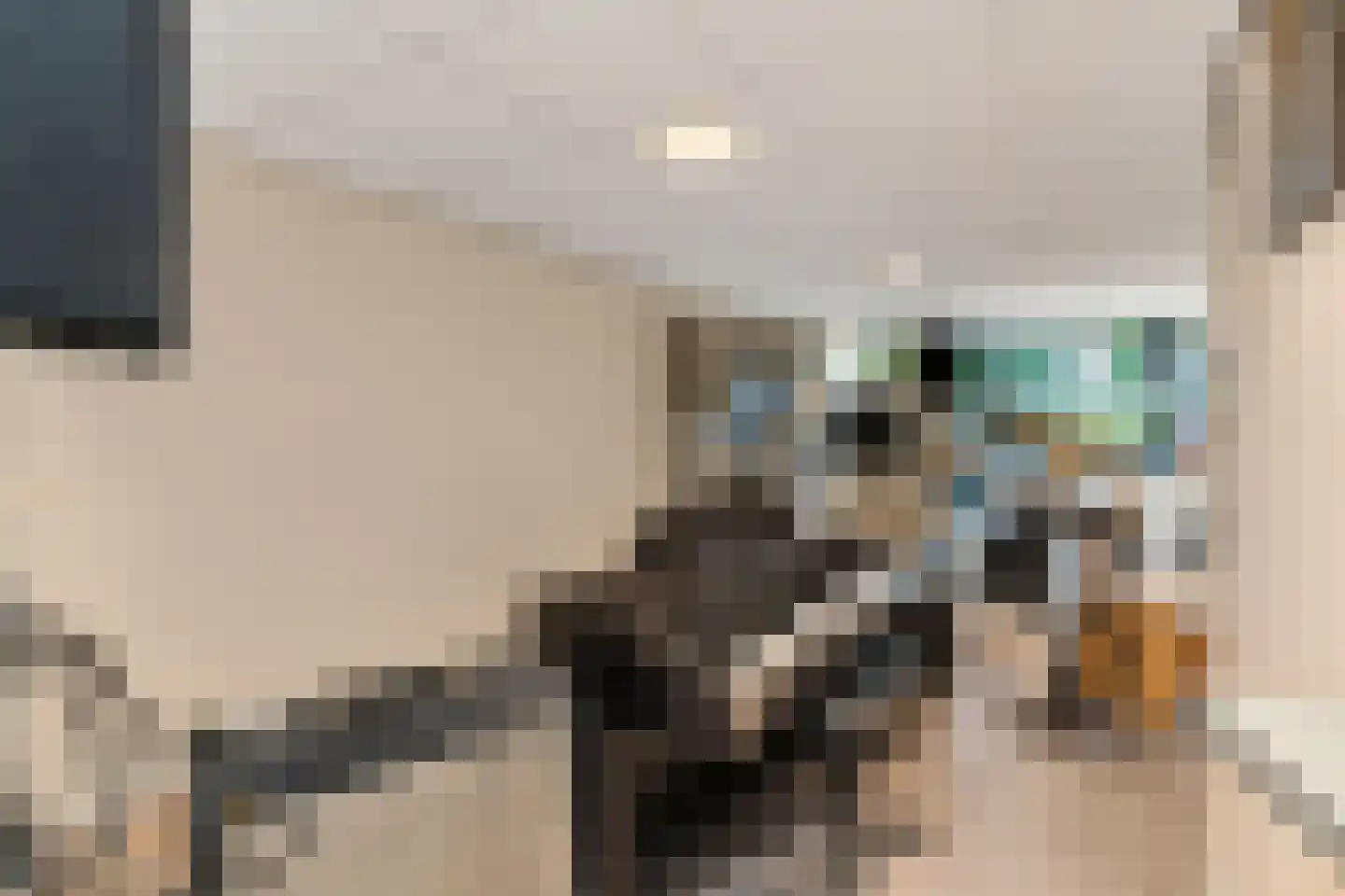 1e Sweelinckstraat 10 Den Haag thumbnail 64