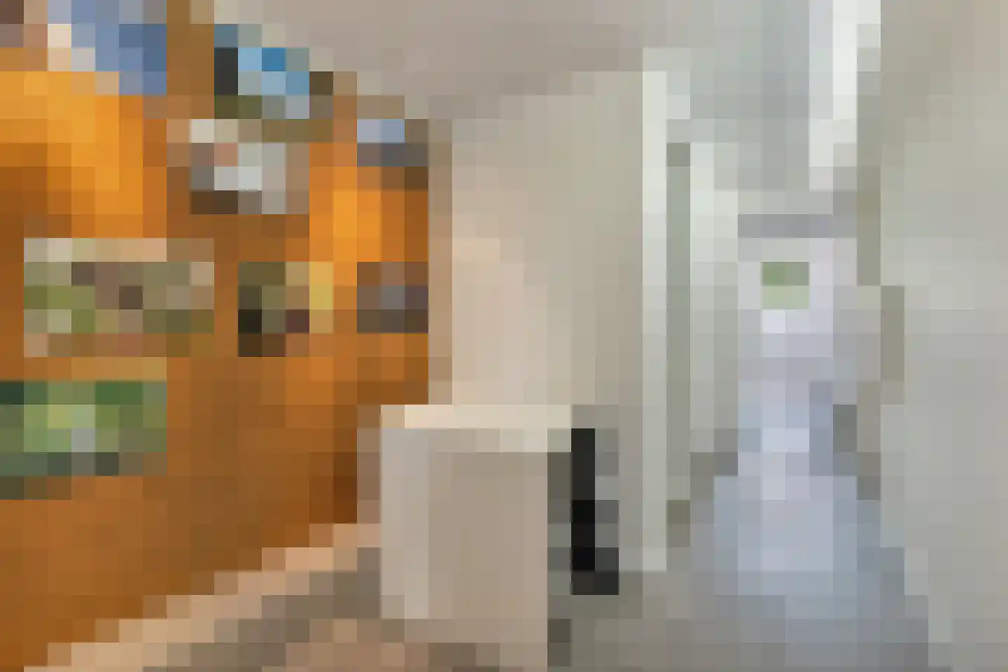 1e Sweelinckstraat 10 Den Haag thumbnail 68