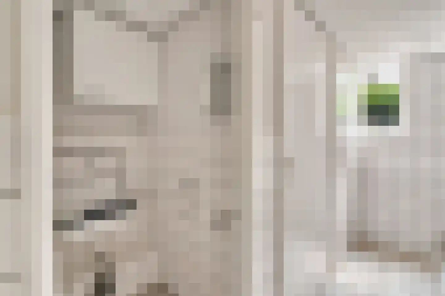 1e Sweelinckstraat 10 Den Haag thumbnail 69