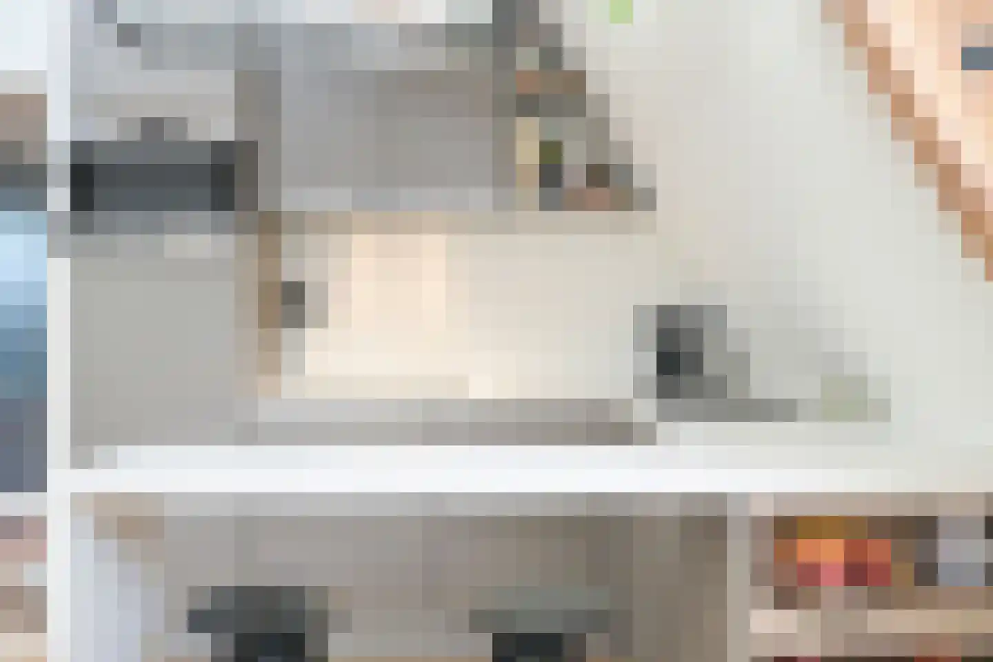 1e Sweelinckstraat 13 B Den Haag thumbnail 10