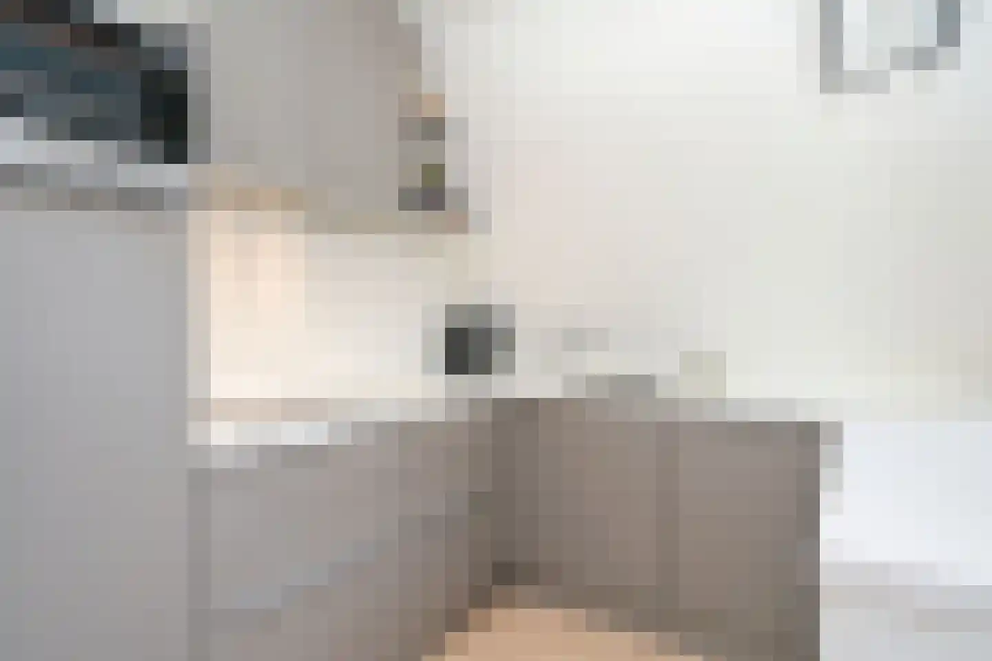 1e Sweelinckstraat 13 B Den Haag thumbnail 11
