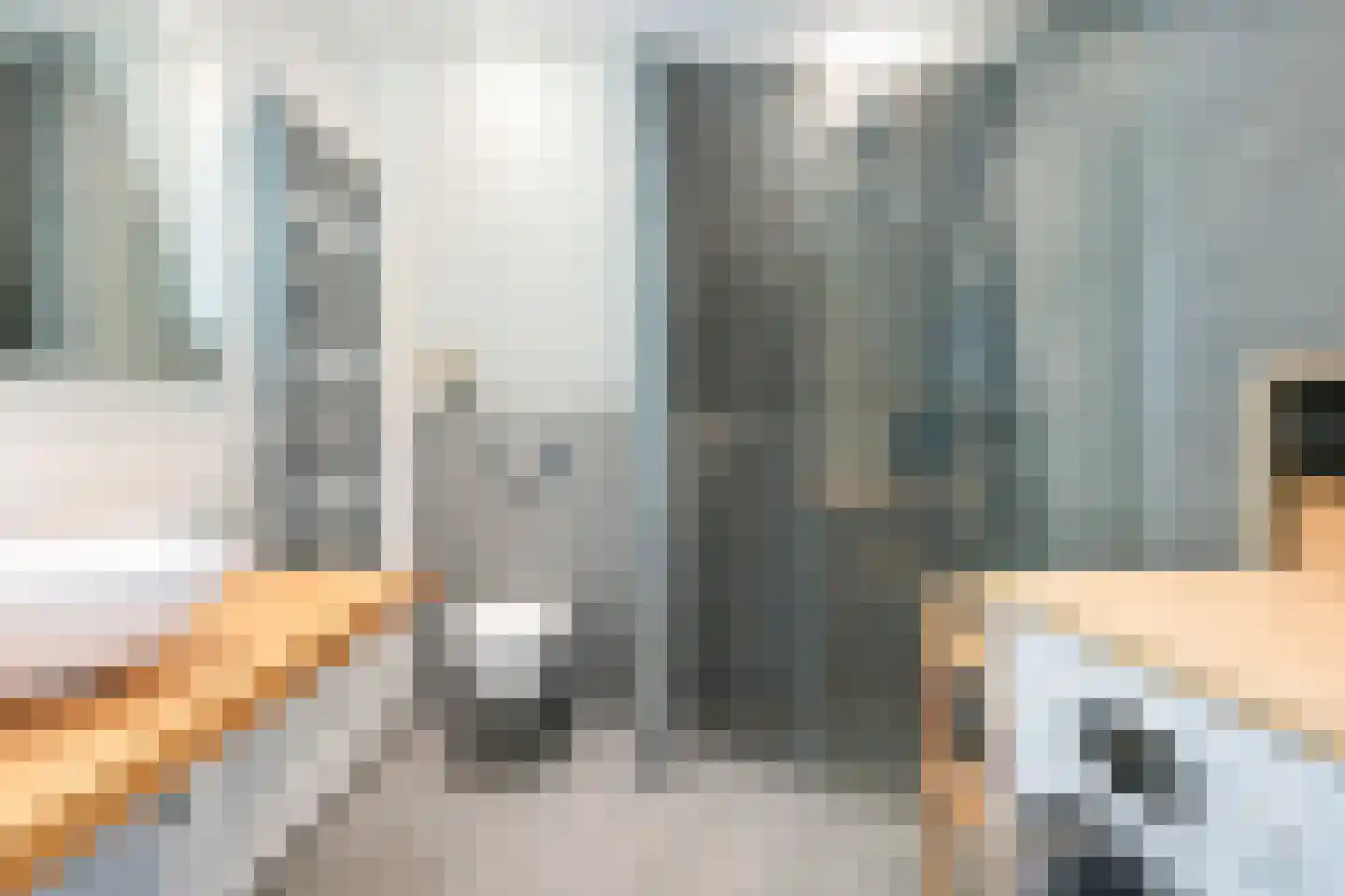 1e Sweelinckstraat 13 B Den Haag thumbnail 14