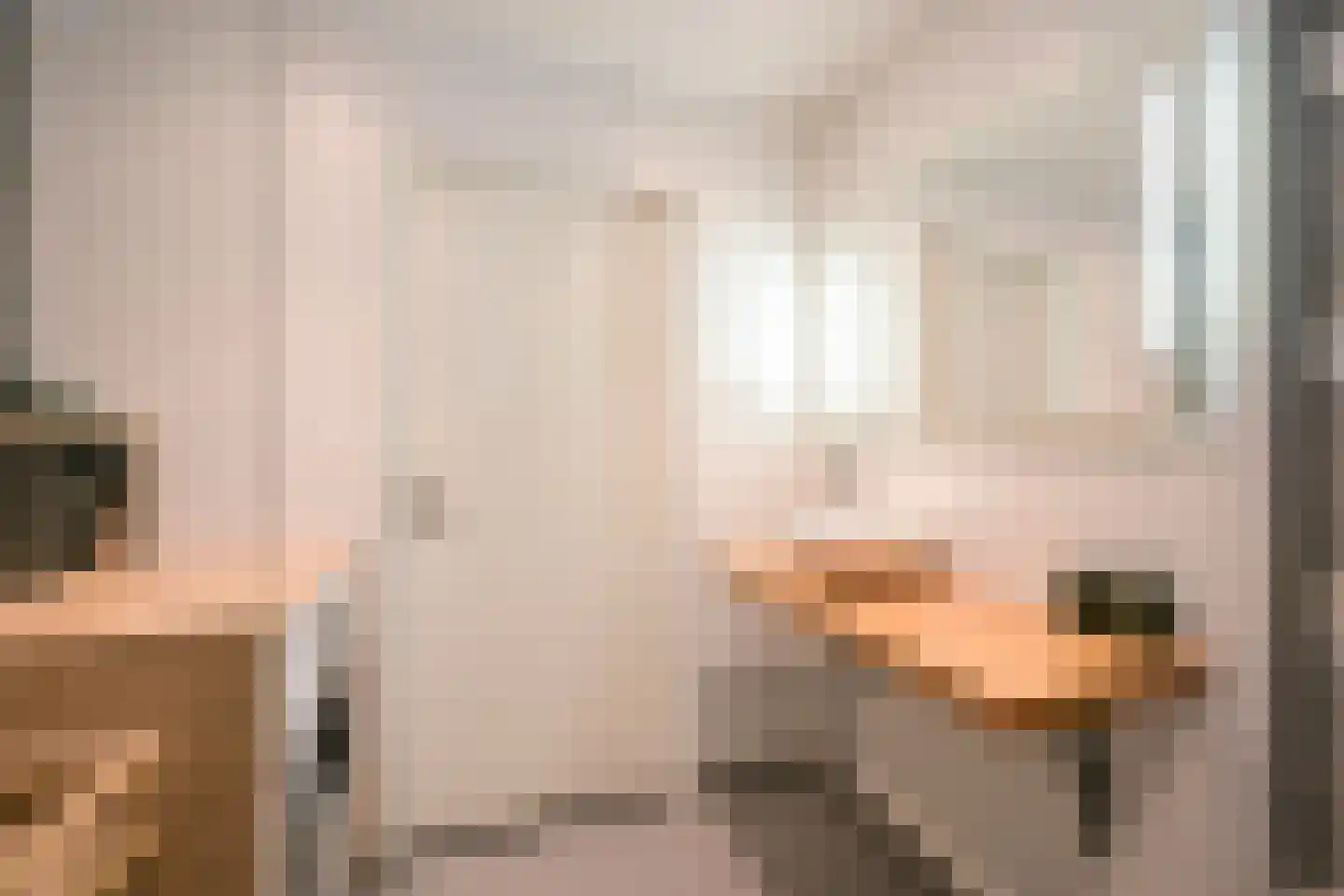1e Sweelinckstraat 13 B Den Haag thumbnail 15