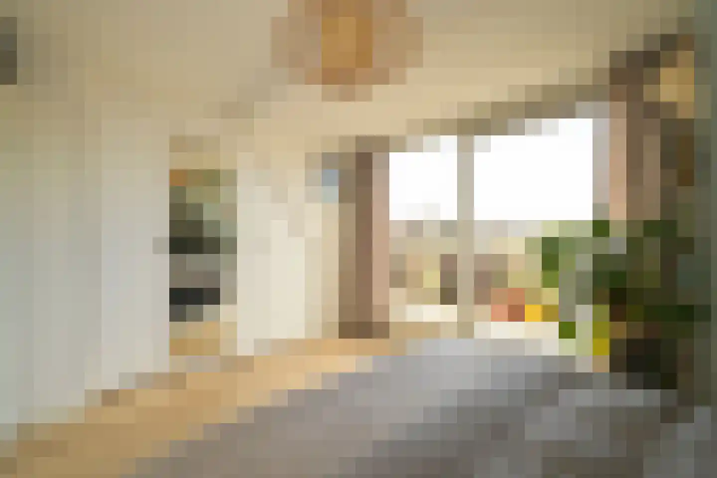 1e Sweelinckstraat 13 B Den Haag thumbnail 17