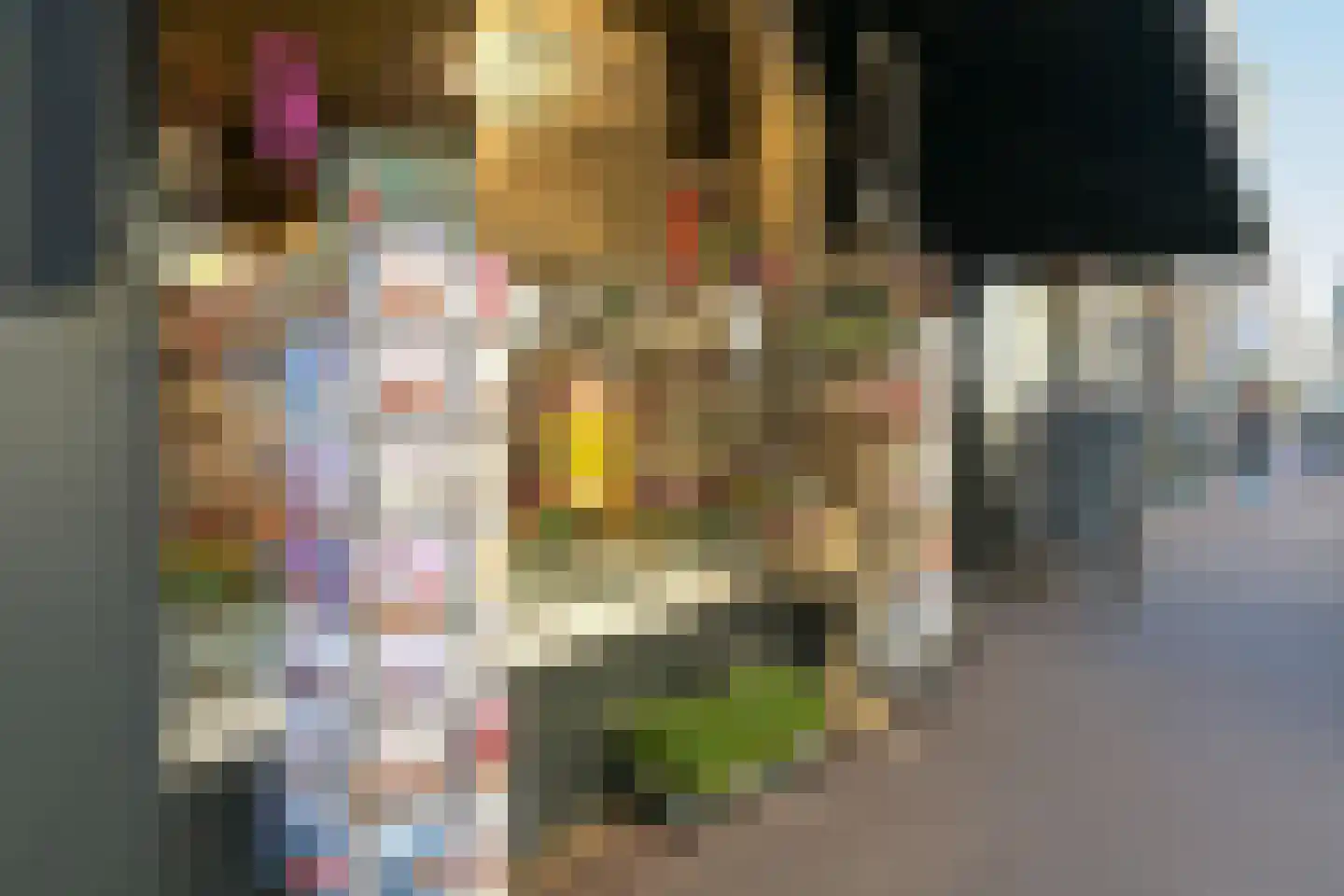 1e Sweelinckstraat 13 B Den Haag thumbnail 37