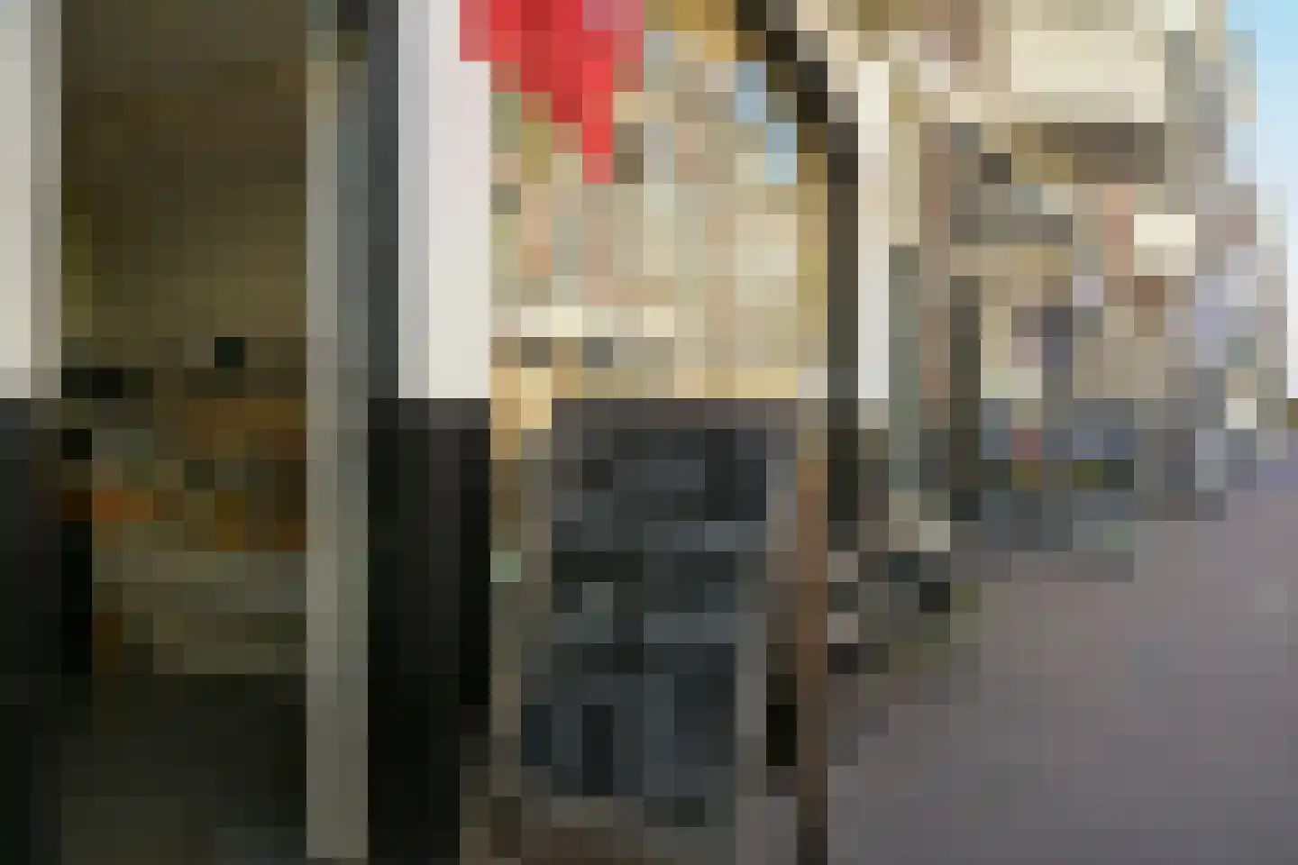 1e Sweelinckstraat 13 B Den Haag thumbnail 38