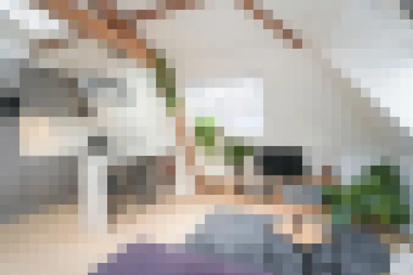 1e Sweelinckstraat 13 B Den Haag thumbnail 4