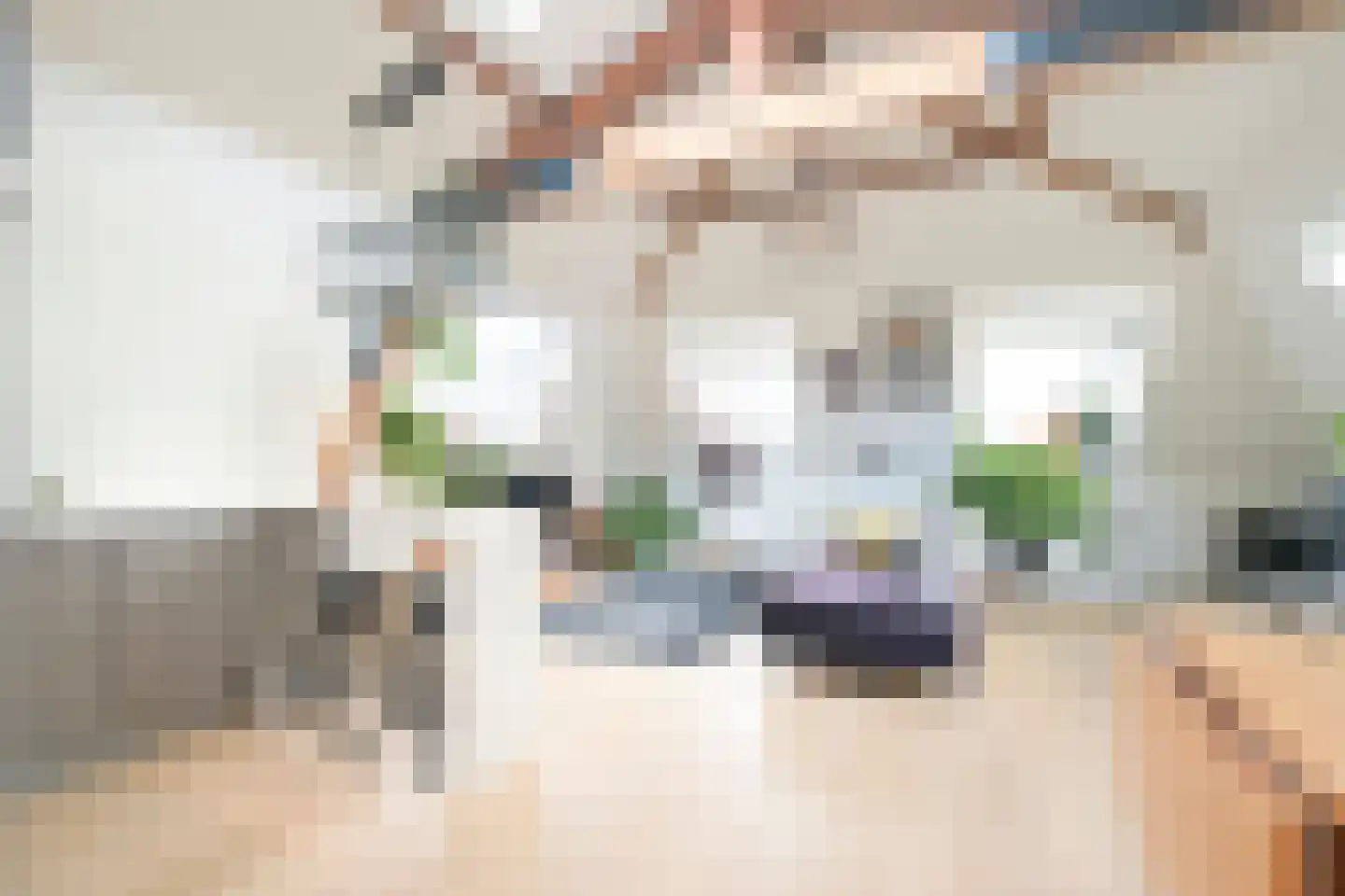 1e Sweelinckstraat 13 B Den Haag thumbnail 5