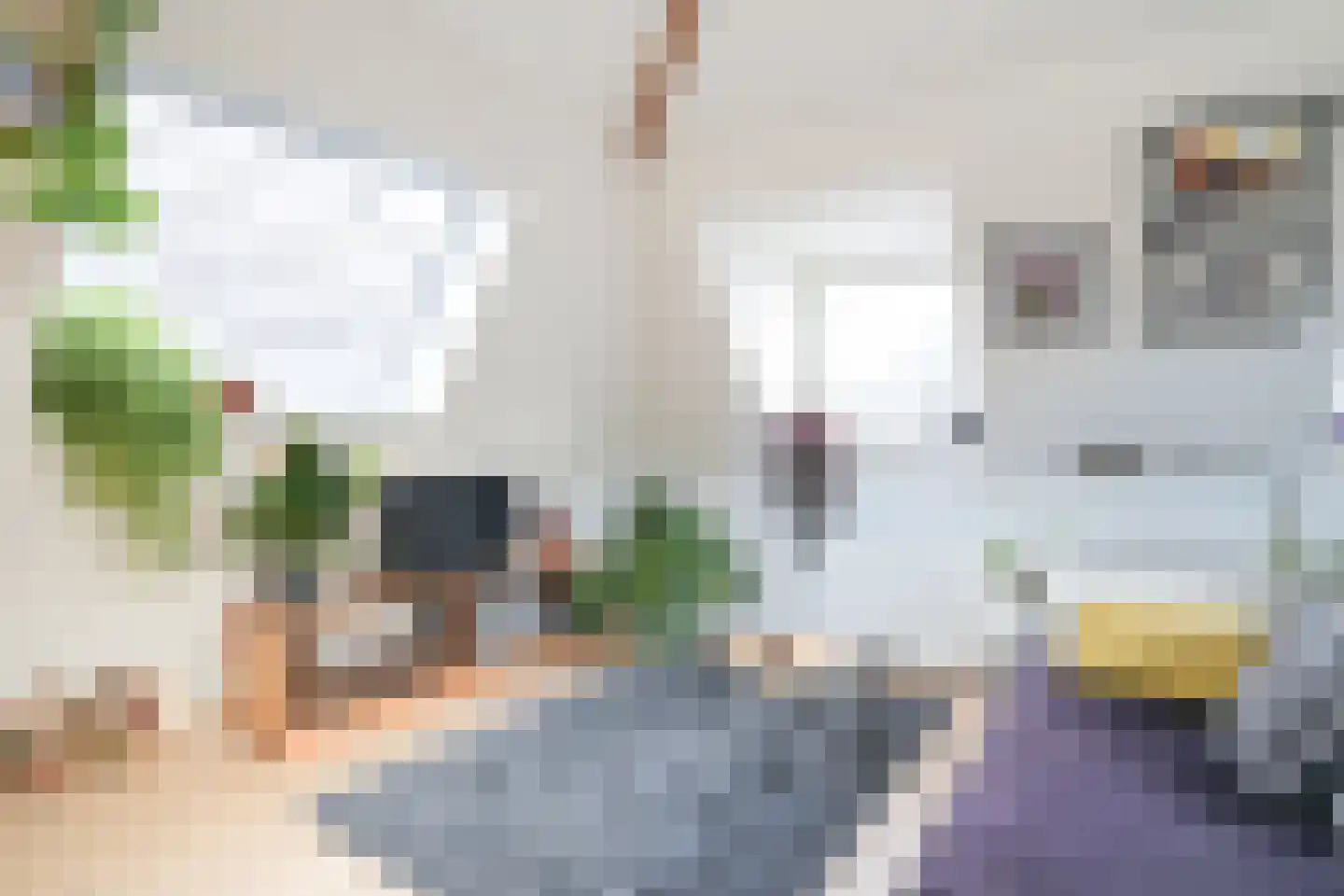 1e Sweelinckstraat 13 B Den Haag thumbnail 7