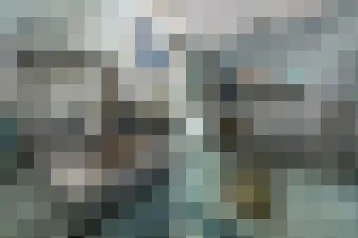 1e Sweelinckstraat 14 Den Haag thumbnail 22