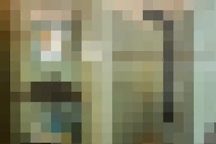 1e Sweelinckstraat 14 Den Haag thumbnail 32