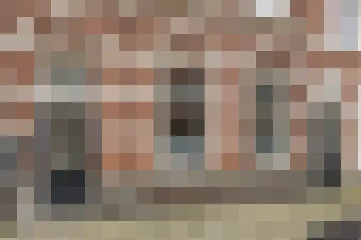 1e Sweelinckstraat 14 Den Haag thumbnail 4