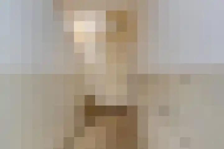 1e Sweelinckstraat 14 Den Haag thumbnail 5