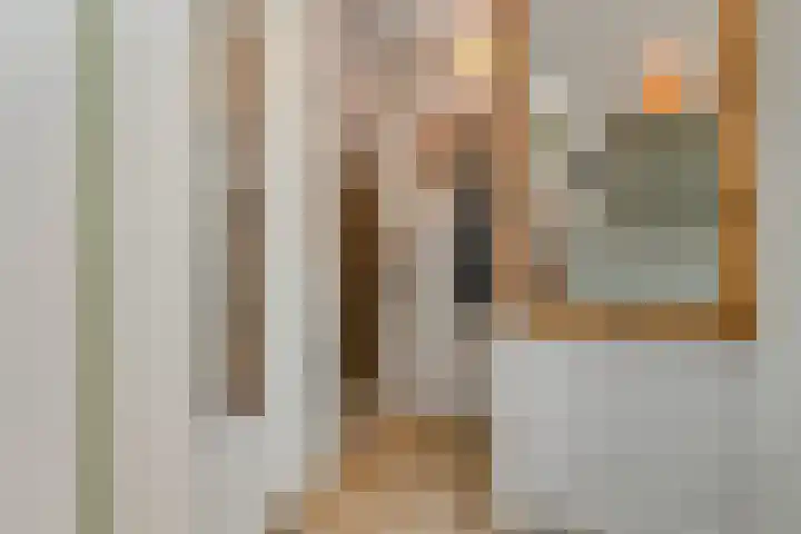 1e Sweelinckstraat 14 Den Haag thumbnail 6
