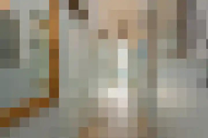 1e Sweelinckstraat 14 Den Haag thumbnail 7