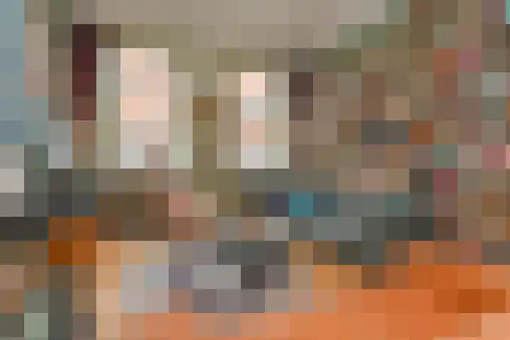 1e Sweelinckstraat 14 Den Haag thumbnail 8
