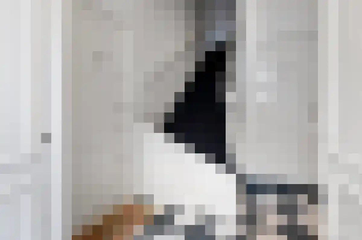 1e Sweelinckstraat 20 Den Haag thumbnail 6