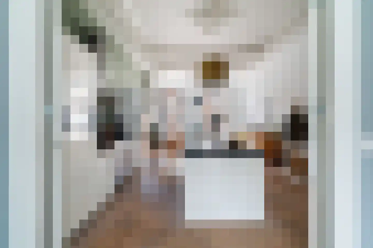 1e Sweelinckstraat 22 A Den Haag thumbnail 14