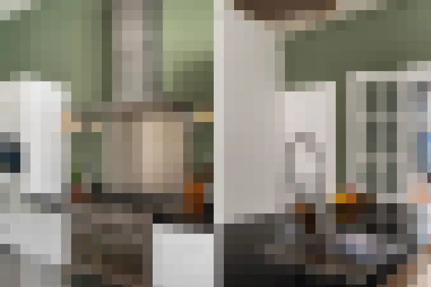 1e Sweelinckstraat 22 A Den Haag thumbnail 17