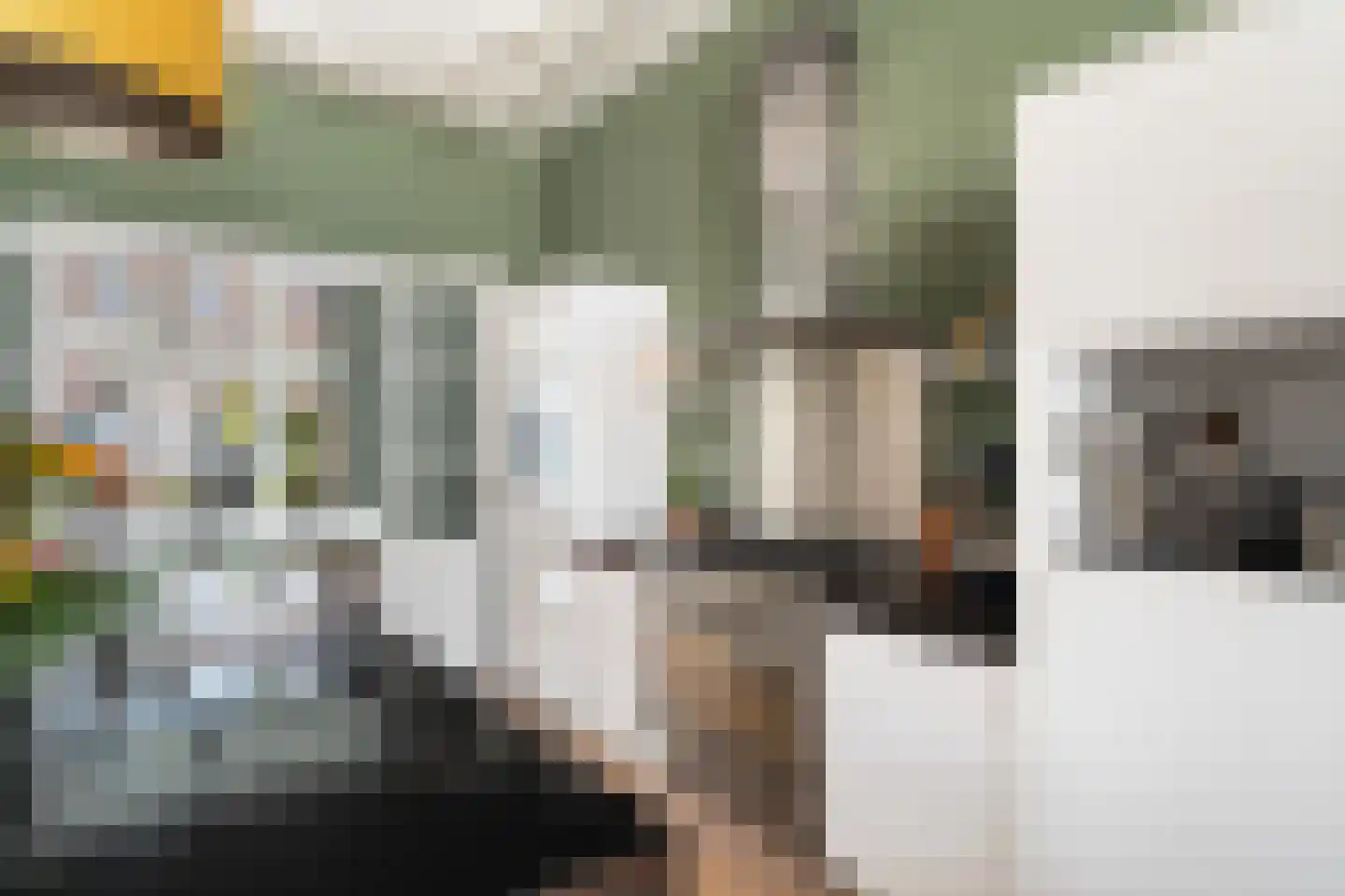 1e Sweelinckstraat 22 A Den Haag thumbnail 18