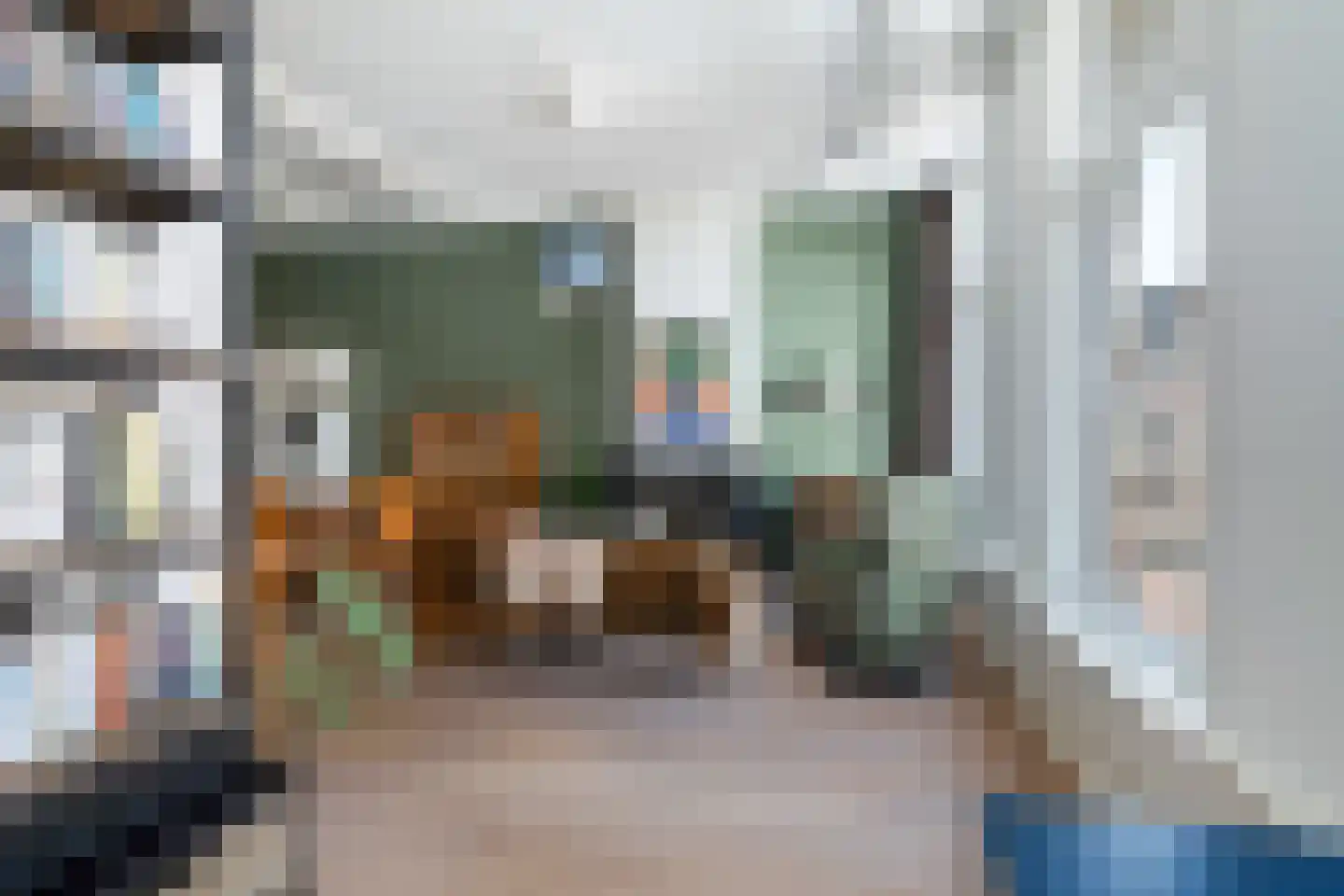 1e Sweelinckstraat 22 A Den Haag thumbnail 25