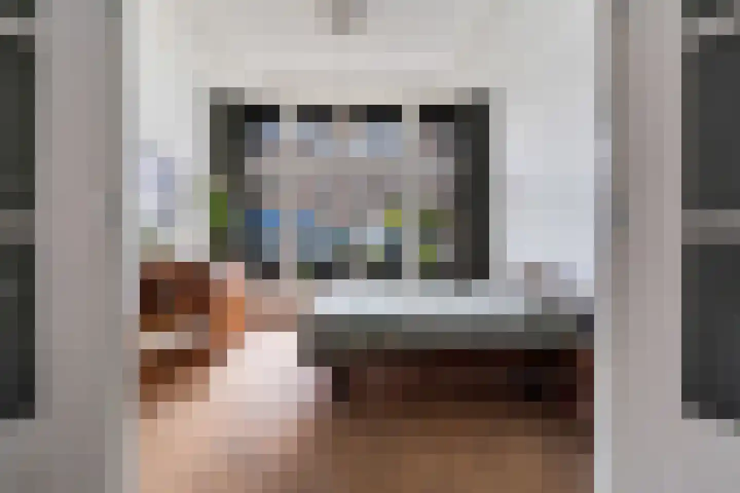 1e Sweelinckstraat 22 A Den Haag thumbnail 32