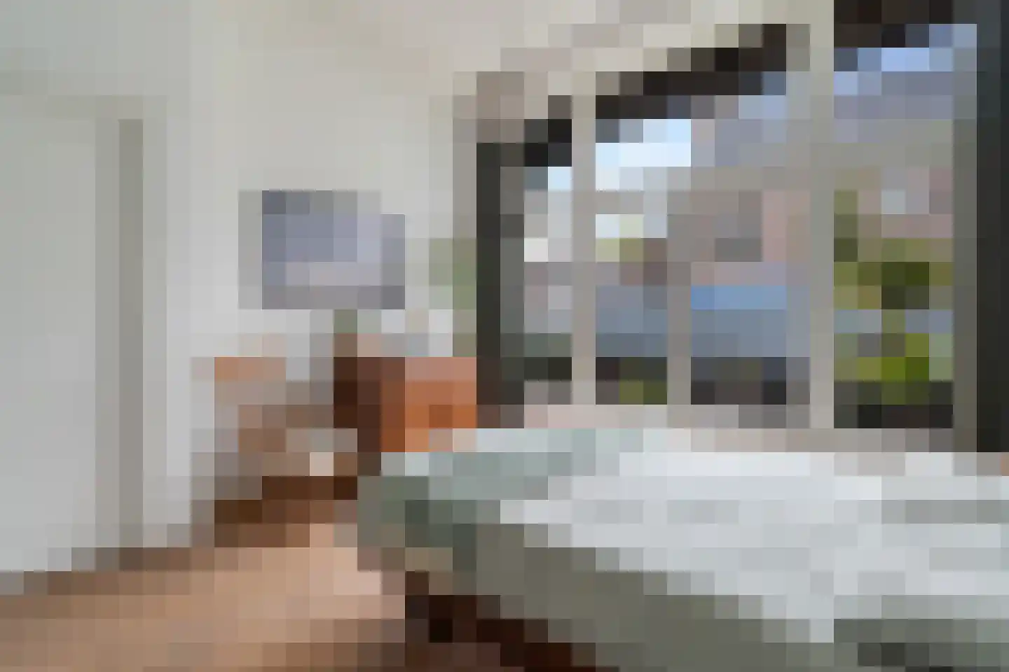 1e Sweelinckstraat 22 A Den Haag thumbnail 34