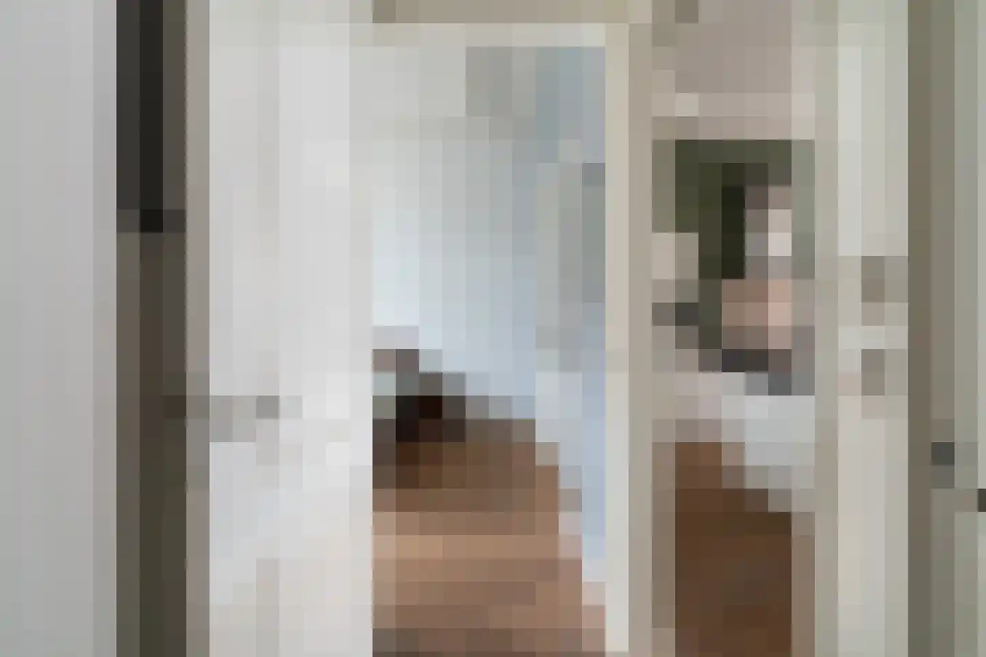 1e Sweelinckstraat 22 A Den Haag thumbnail 37
