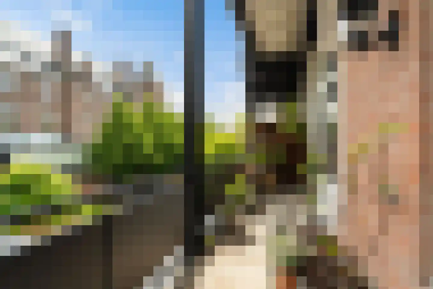 1e Sweelinckstraat 22 A Den Haag thumbnail 4