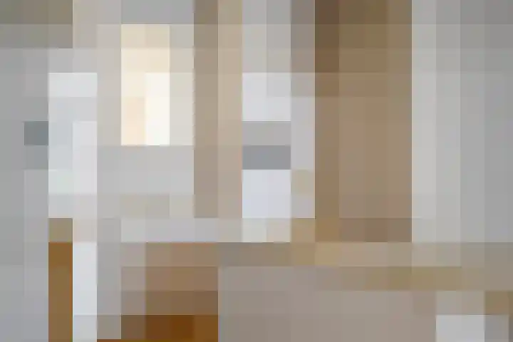 1e Sweelinckstraat 22 Den Haag thumbnail 14