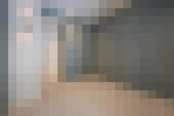 1e Sweelinckstraat 22 Den Haag thumbnail 17