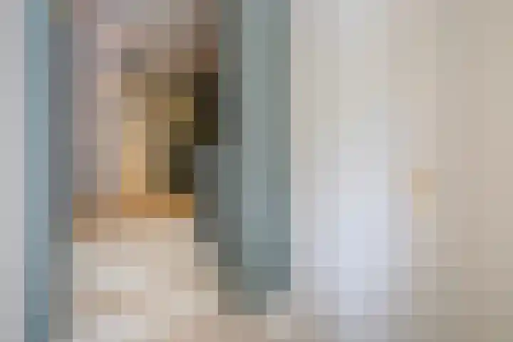 1e Sweelinckstraat 22 Den Haag thumbnail 25