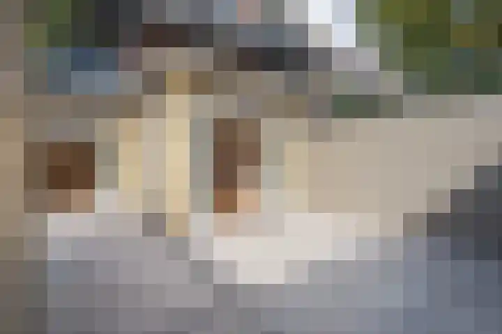 1e Sweelinckstraat 22 Den Haag thumbnail 29