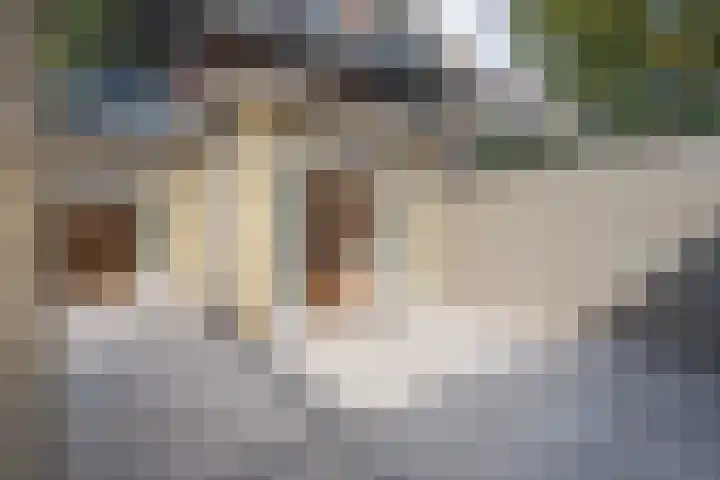 1e Sweelinckstraat 22 Den Haag thumbnail 5