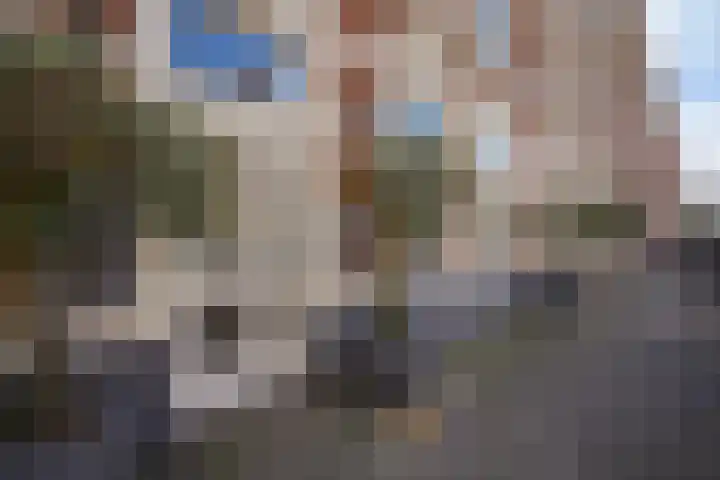 1e Sweelinckstraat 22 Den Haag thumbnail 6