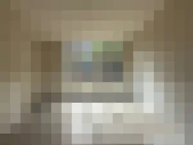 1e Sweelinckstraat 26 Den Haag thumbnail 5