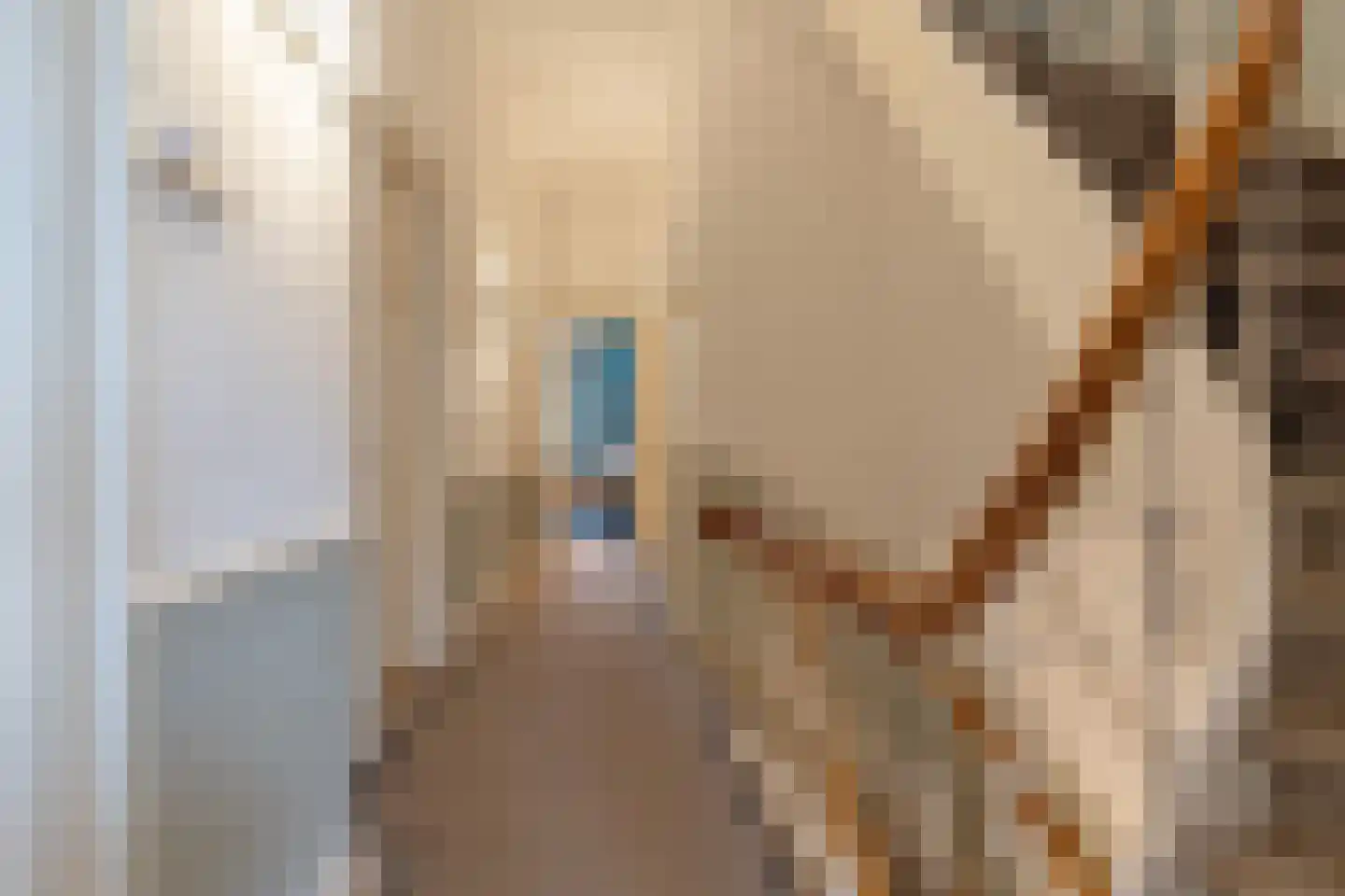 1e Sweelinckstraat 31 Den Haag thumbnail 18