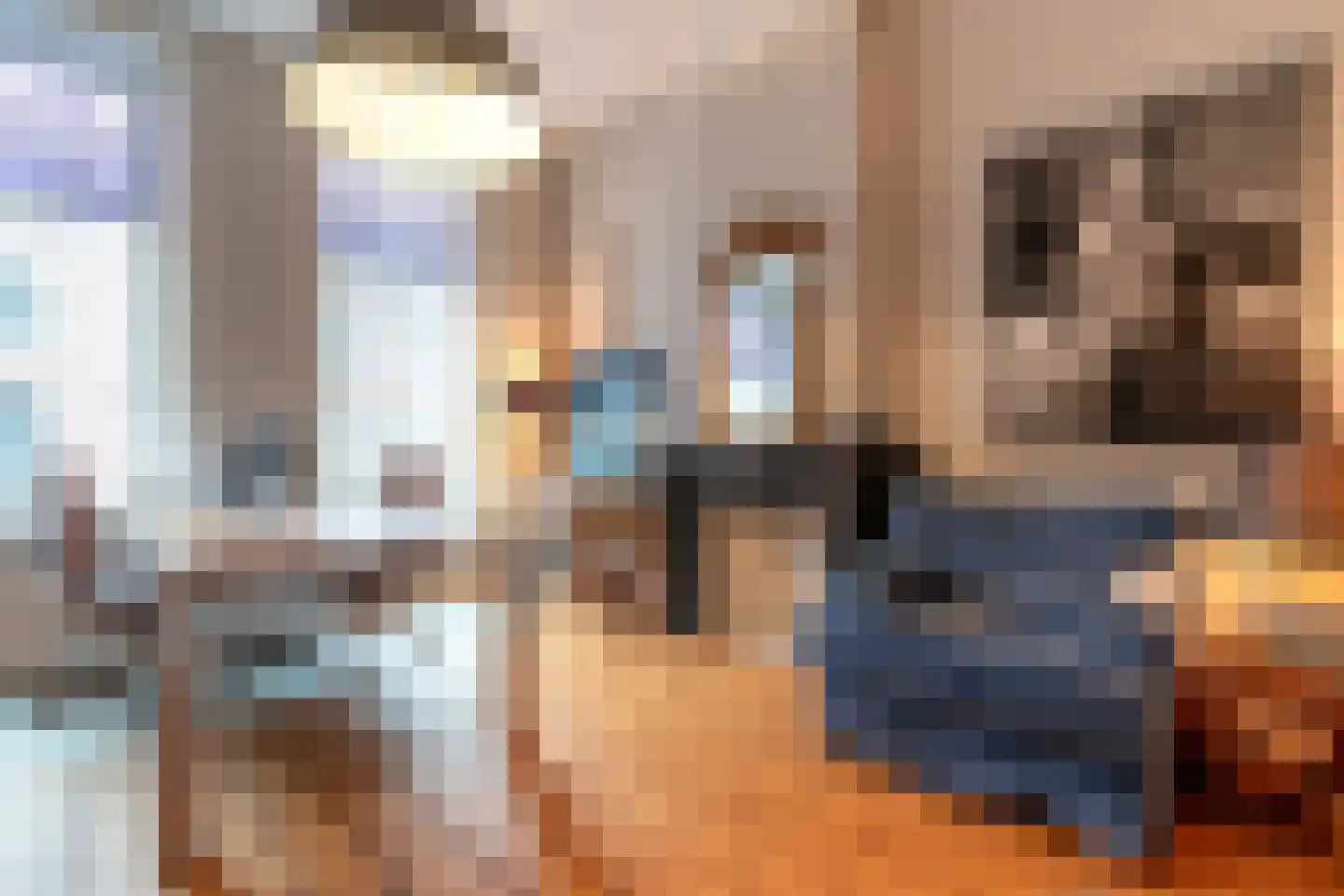 1e Sweelinckstraat 31 Den Haag thumbnail 22