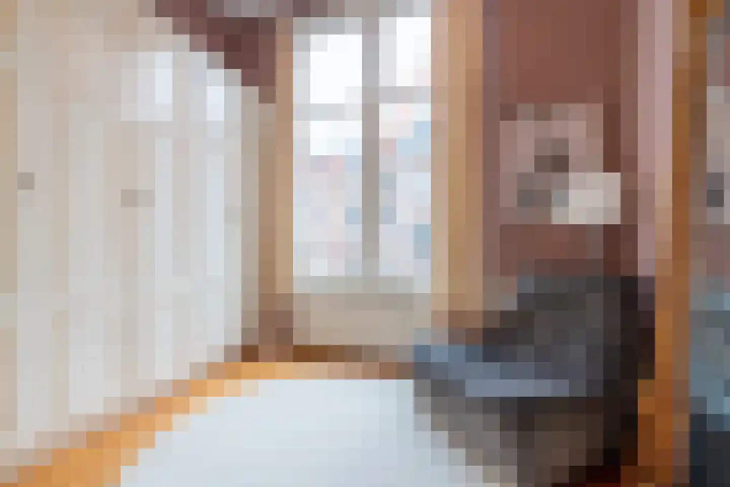 1e Sweelinckstraat 31 Den Haag thumbnail 27