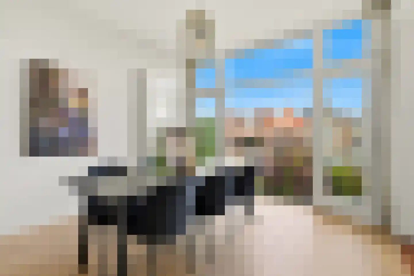1e Sweelinckstraat 53 B Den Haag thumbnail 8