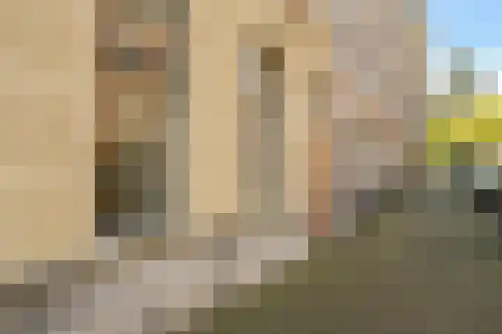 1e Sweelinckstraat 68 Den Haag thumbnail 4